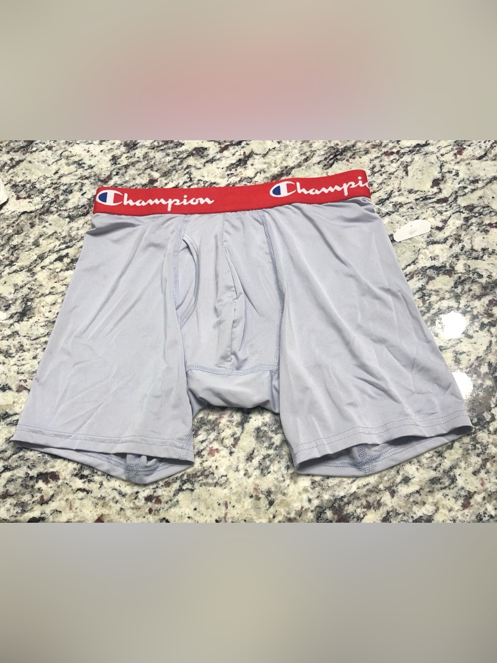 Champion Boxer brief